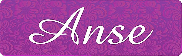 Первый логотип компании Anse